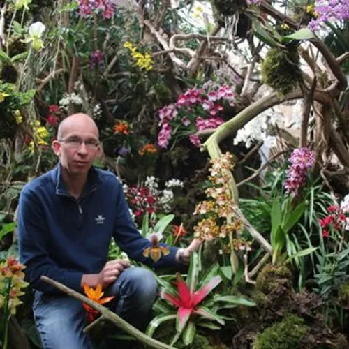 Cultiver du thé en Bretagne, c'est possible !